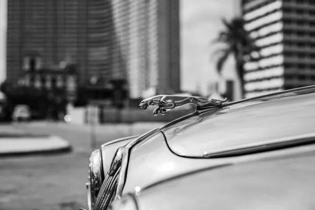 PocketWin Kasino Android/iOS Sovellus