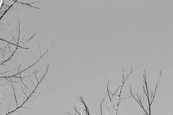 PocketWin Kasino Tuki